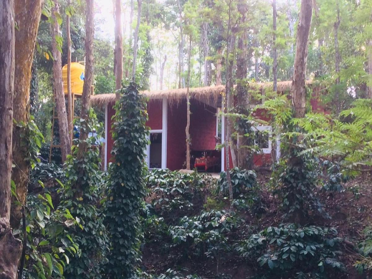 Kaikane Homestay 마디케리 외부 사진